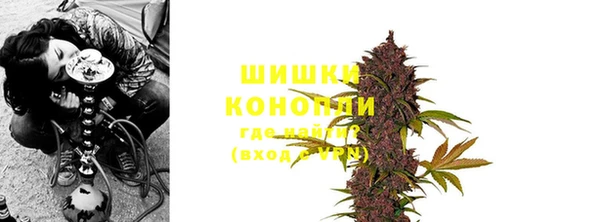 мет Болотное