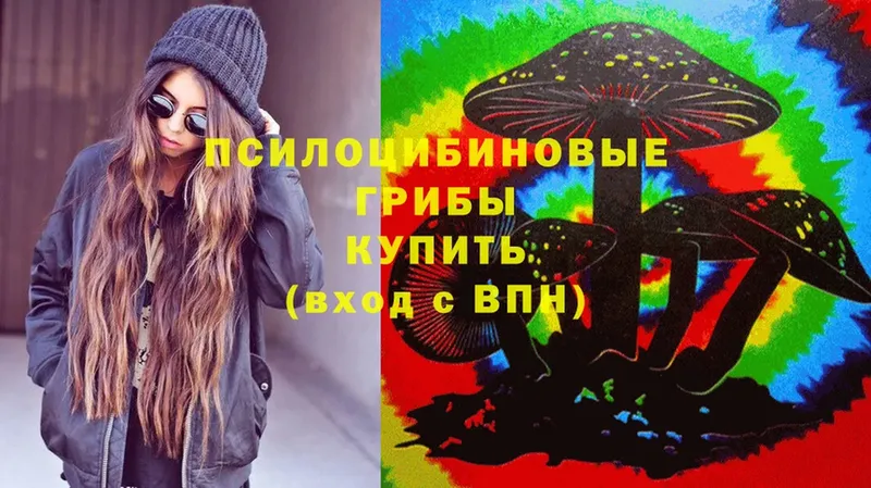 Галлюциногенные грибы Psilocybe  что такое   Калтан 