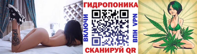 купить Калтан Конопля Ganja